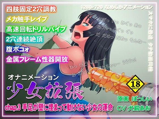 機械姦拡張