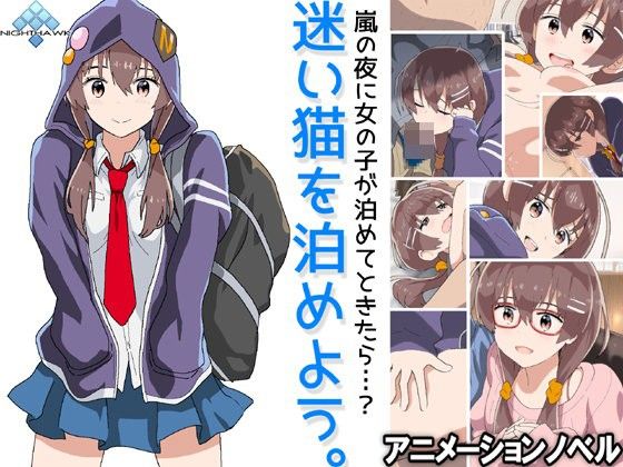 迷い猫を泊めよう